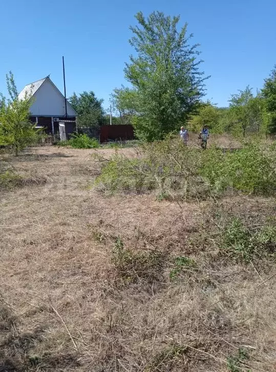 Участок в Ростовская область, Октябрьский район, пос. Персиановский, ... - Фото 2