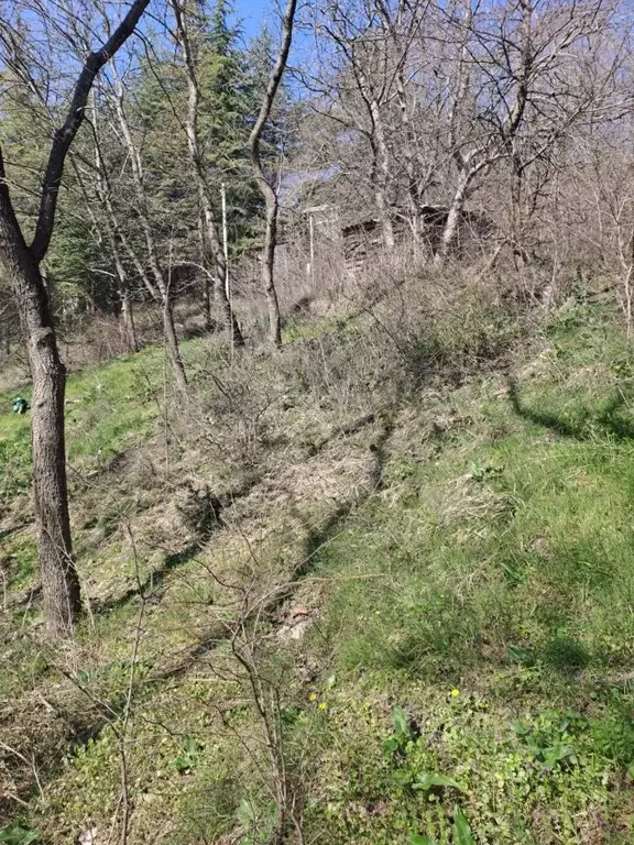 Участок в Крым, Ялта муниципальный округ, Гурзуф пгт ул. Приветная ... - Фото 1