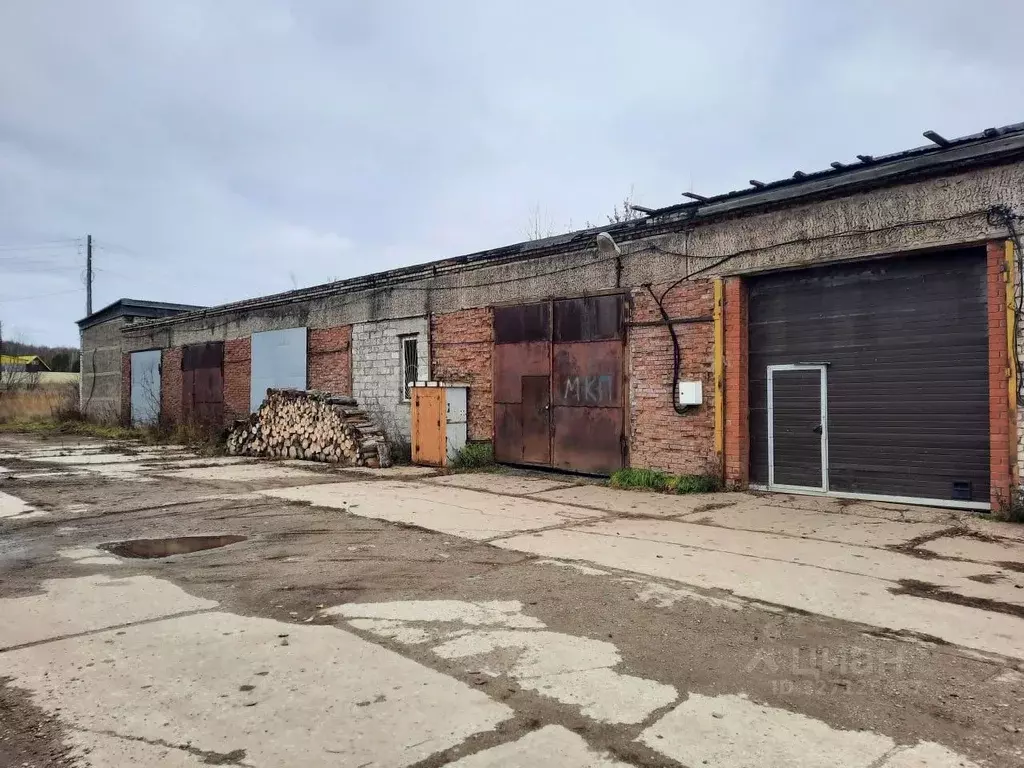 Помещение свободного назначения в Пермский край, Березники ... - Фото 2