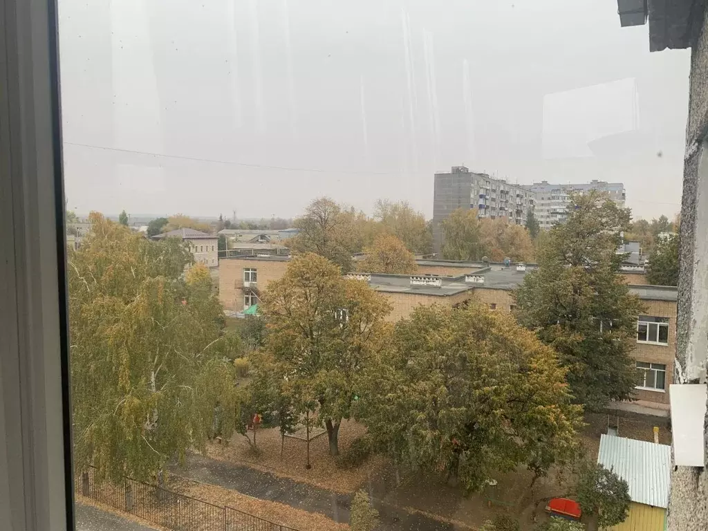 2-к кв. Самарская область, Сызрань Московская ул., 13А (36.5 м) - Фото 2