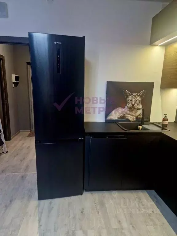 Студия Санкт-Петербург ул. Одоевского, 17 (42.0 м) - Фото 1