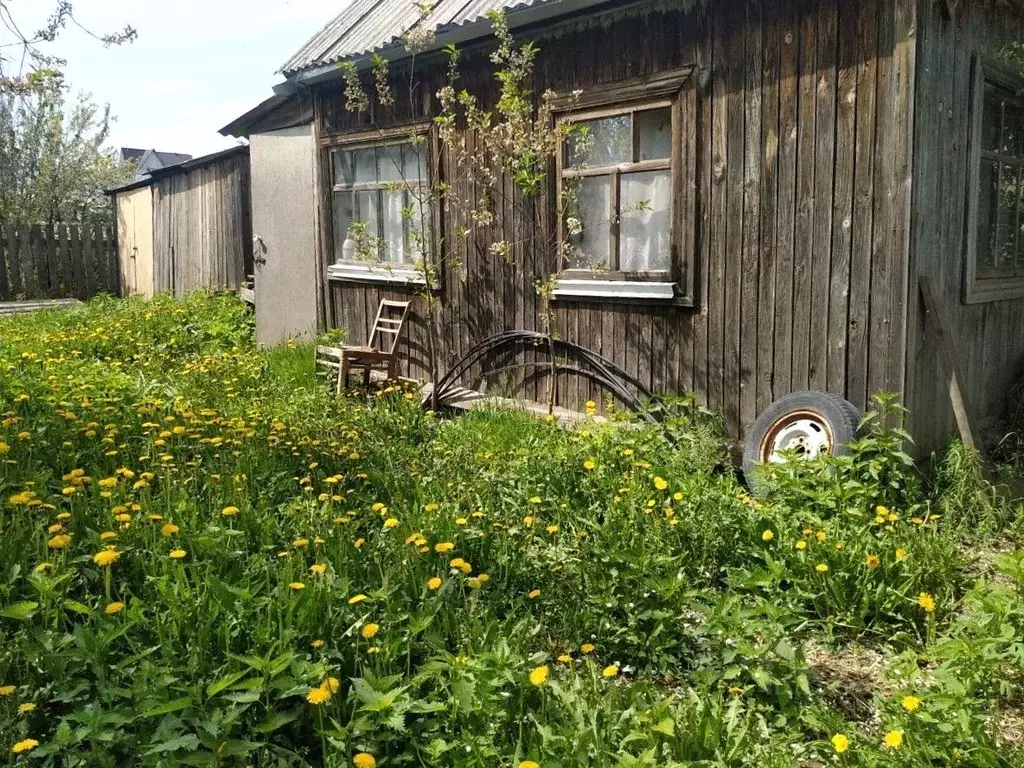 Участок в Курганская область, Курган Зеленый Островок СНТ, ул. ... - Фото 0
