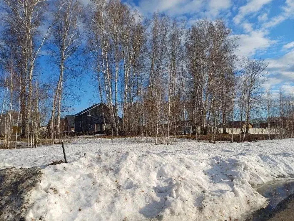 Участок в Новосибирская область, Новосибирский район, Сибирские ... - Фото 2