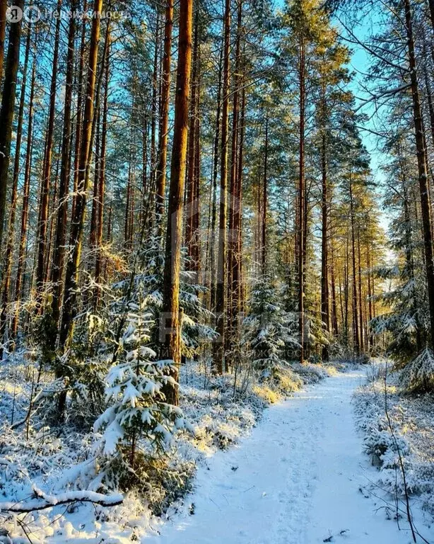 2-комнатная квартира: посёлок Кирилловское, Советская улица, 26 (44 м) - Фото 1