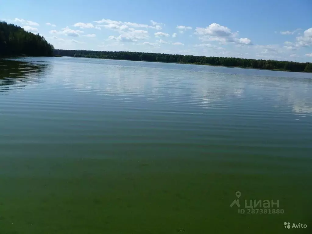 Участок в Нижегородская область, Сокольский городской округ, д. Быково ... - Фото 0