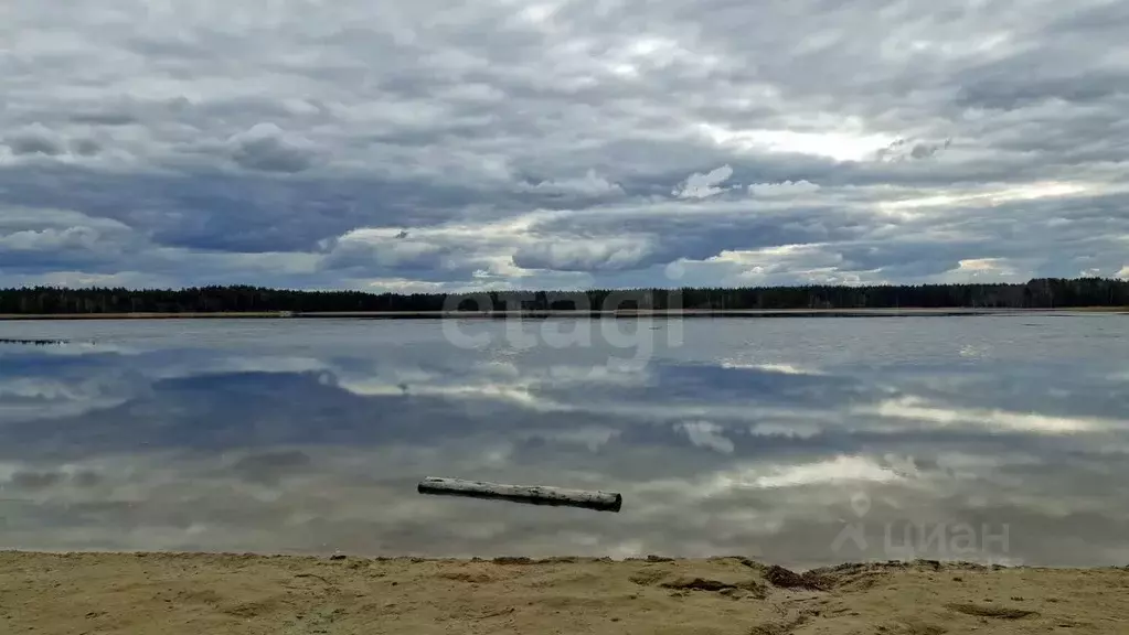 Участок в Нижегородская область, Навашинский муниципальный округ, с. ... - Фото 1