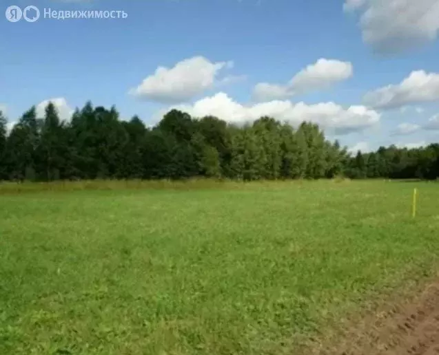 Участок в Октябрьский, микрорайон Южный (8.12 м) - Фото 2