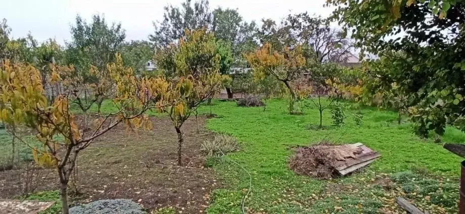Участок в Крым, Симферопольский район, с. Родниково ул. Крымская, 41 ... - Фото 2