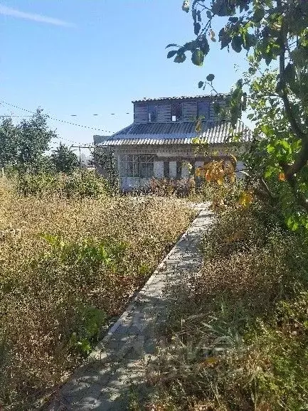 Участок в Волгоградская область, Волгоград Рекорд СНТ, 5-я линия (6.0 ... - Фото 1