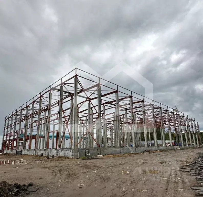 Производственное помещение в Московская область, Дмитровский ... - Фото 2