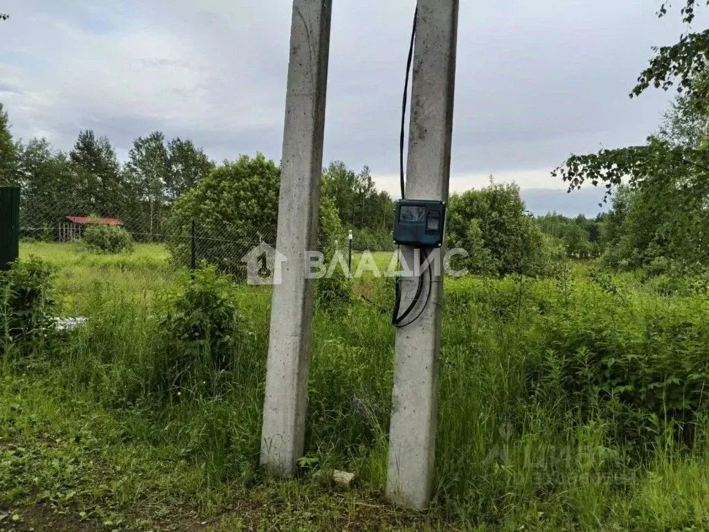 Участок в Владимирская область, Судогодский район, Лавровское ... - Фото 0