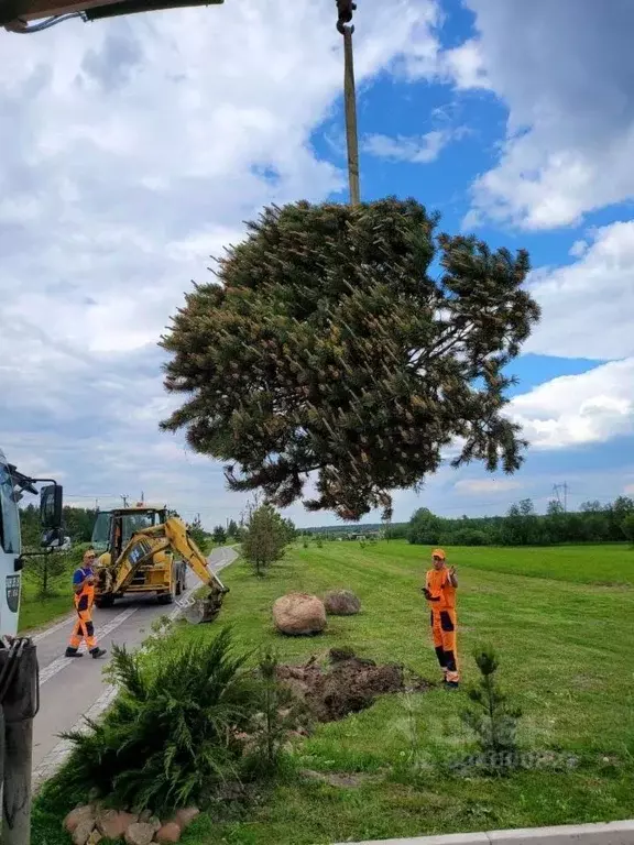 Участок в Ленинградская область, Гатчинский муниципальный округ, д. ... - Фото 1