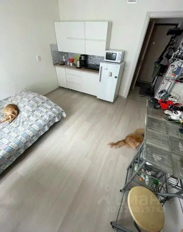 Студия Свердловская область, Екатеринбург ул. 40-летия Комсомола, 35/4 ... - Фото 2