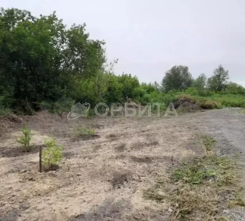 Участок в Тюменская область, Нижнетавдинский муниципальный округ, ... - Фото 1