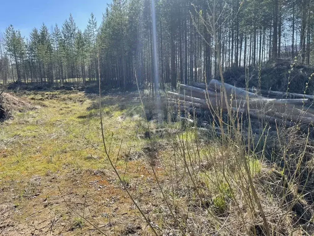 Участок в Коми, Сыктывкар городской округ, Верхняя Максаковка пгт 4-я ... - Фото 2