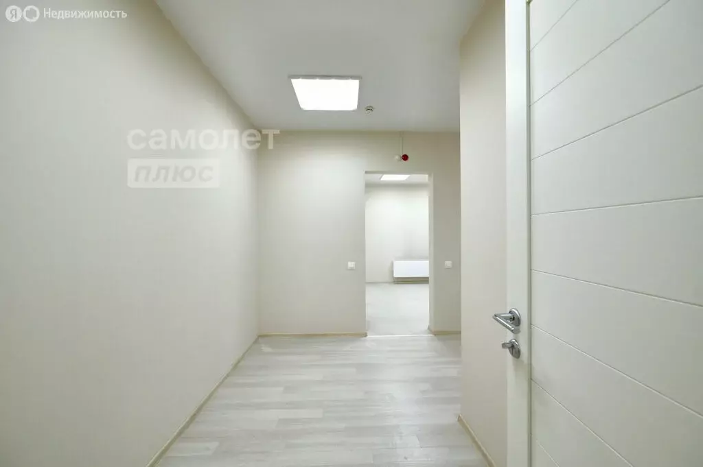 Офис (49.5 м) - Фото 2