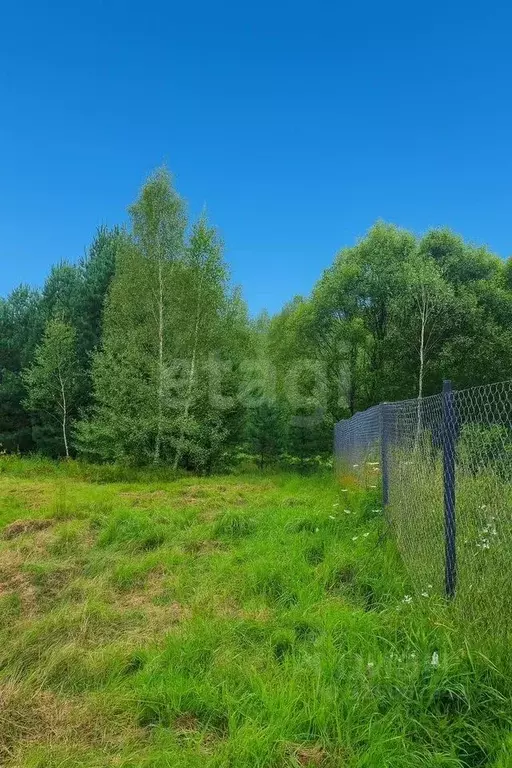 Участок в Ярославская область, Ярославский муниципальный округ, д. ... - Фото 2