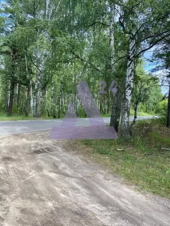 Участок в Алтайский край, Барнаул городской округ, пос. Черницк ул. ... - Фото 1