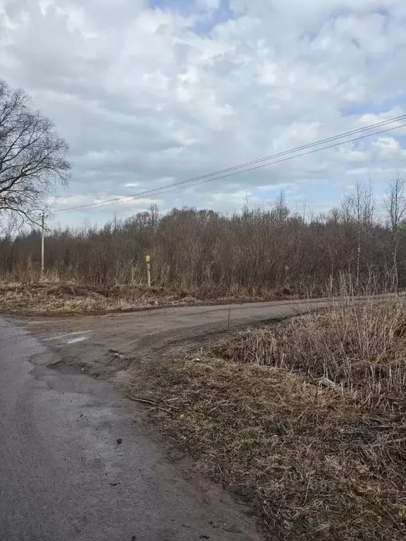 Участок в Новгородская область, Новгородский район, Бронницкое с/пос, ... - Фото 1