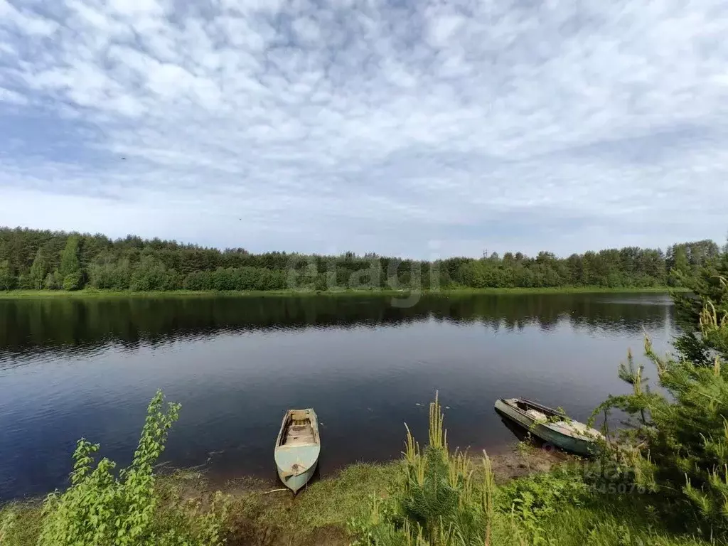 Участок в Ленинградская область, Волховский район, Пашское с/пос, д. ... - Фото 1