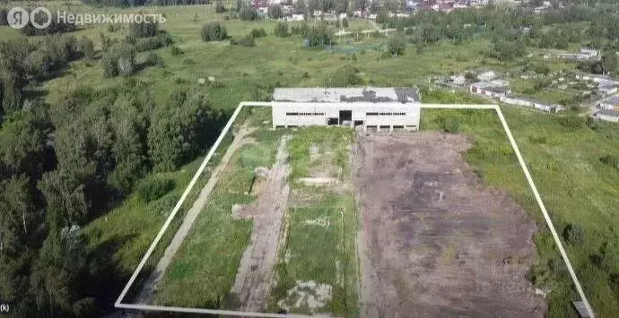 Участок в Новосибирский район, Станционный сельсовет, посёлок Садовый ... - Фото 1