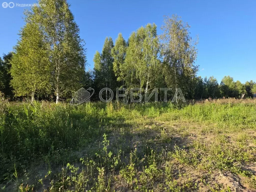 Участок в Тюмень, территория СОСН Приозёрное (6.58 м) - Фото 1