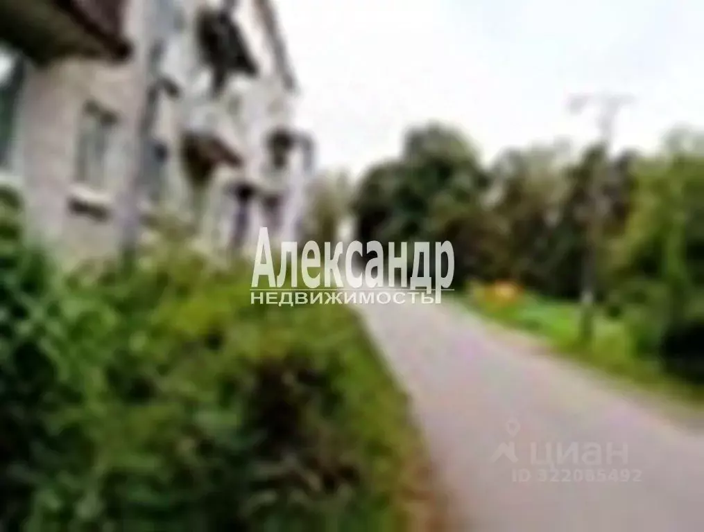 1-к кв. Ленинградская область, Ломоносовский район, Лебяженское ... - Фото 2