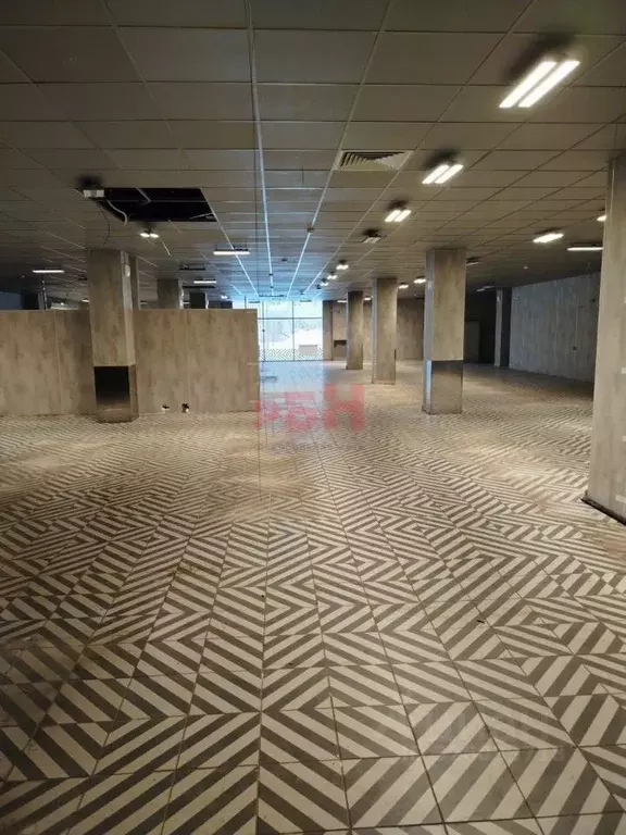 Торговая площадь в Пензенская область, Заречный Спортивная ул. (670 м) - Фото 2