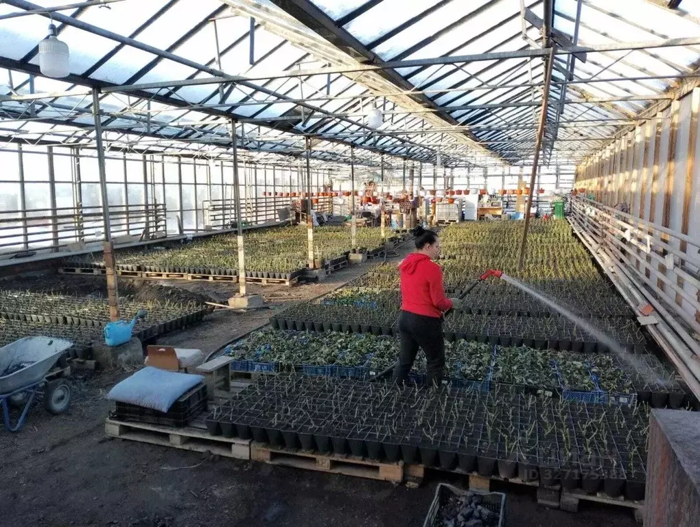 Производственное помещение в Челябинская область, Копейск Пластмасс-3 ... - Фото 1