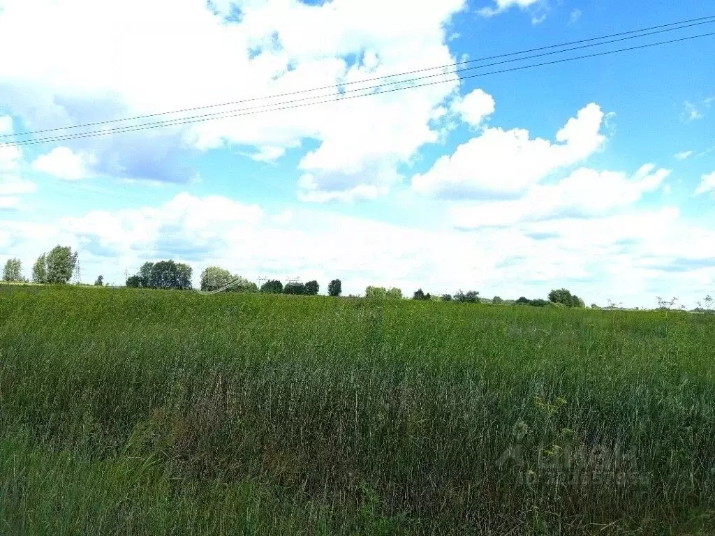 Участок в Тюменская область, Тюменский муниципальный округ, с. Борки  ... - Фото 2