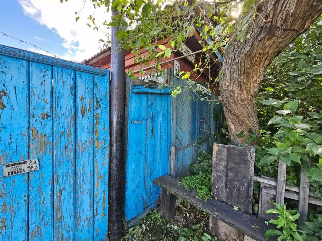 Участок в Омская область, Калачинск ул. Островского, 53 (4.9 сот.) - Фото 2