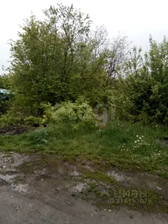 Участок в Белгородская область, Белгород Фазенда садоводческое ... - Фото 0