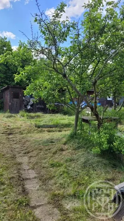 Дом в Санкт-Петербург Торики-2 СНТ, ул. Центральная (45 м) - Фото 2