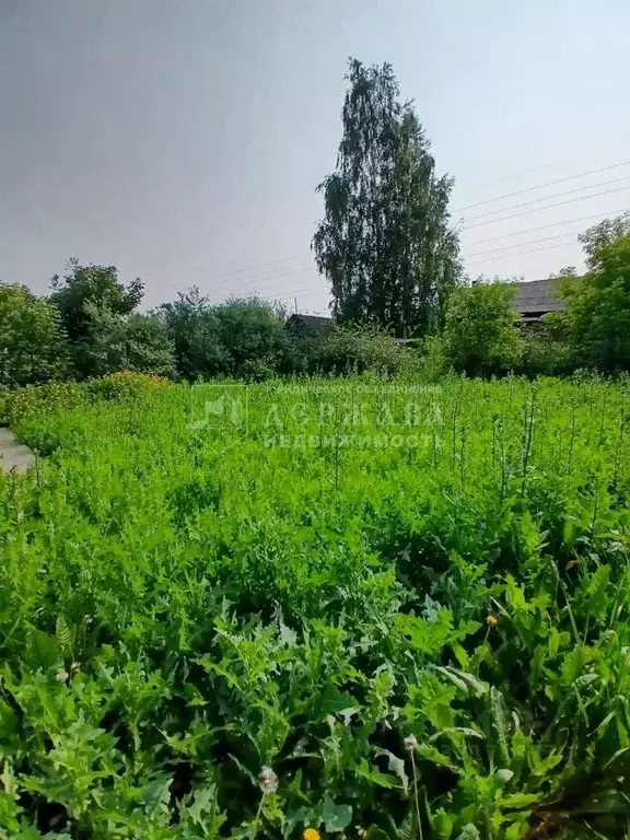 Участок в Кемеровская область, Кемерово ул. 3-я Нагорная (10.0 сот.) - Фото 1