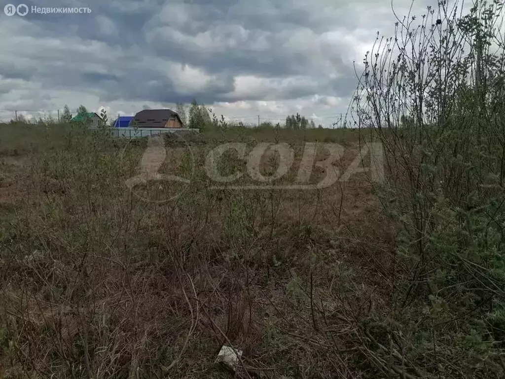 Участок в Тюменский муниципальный округ, посёлок городского типа ... - Фото 1