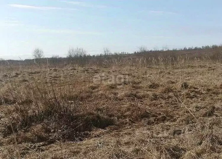 Участок в Калининградская область, Гурьевский муниципальный округ, ... - Фото 0