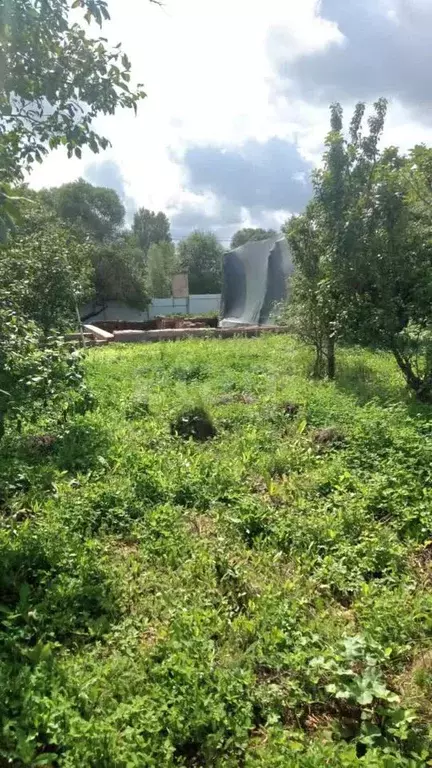 Участок в Московская область, Солнечногорск городской округ, д. ... - Фото 1