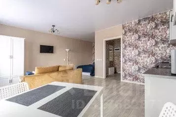 1-к кв. Псковская область, Псков Ольгинская наб., 5А (40.0 м) - Фото 0