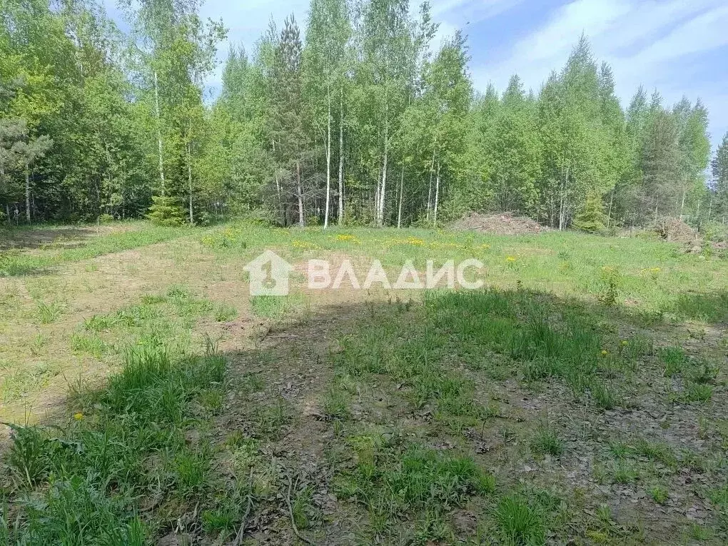 Участок в Владимирская область, Владимир Пиганово мкр,  (10.24 сот.) - Фото 2