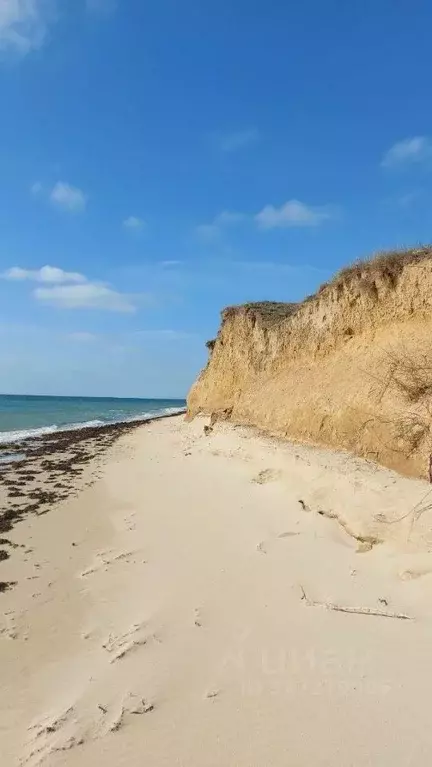 Участок в Крым, Черноморский район, Окуневское с/пос  (100.0 сот.) - Фото 2