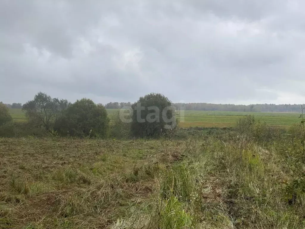 Участок в Калужская область, Боровский муниципальный округ, Кривское ... - Фото 1