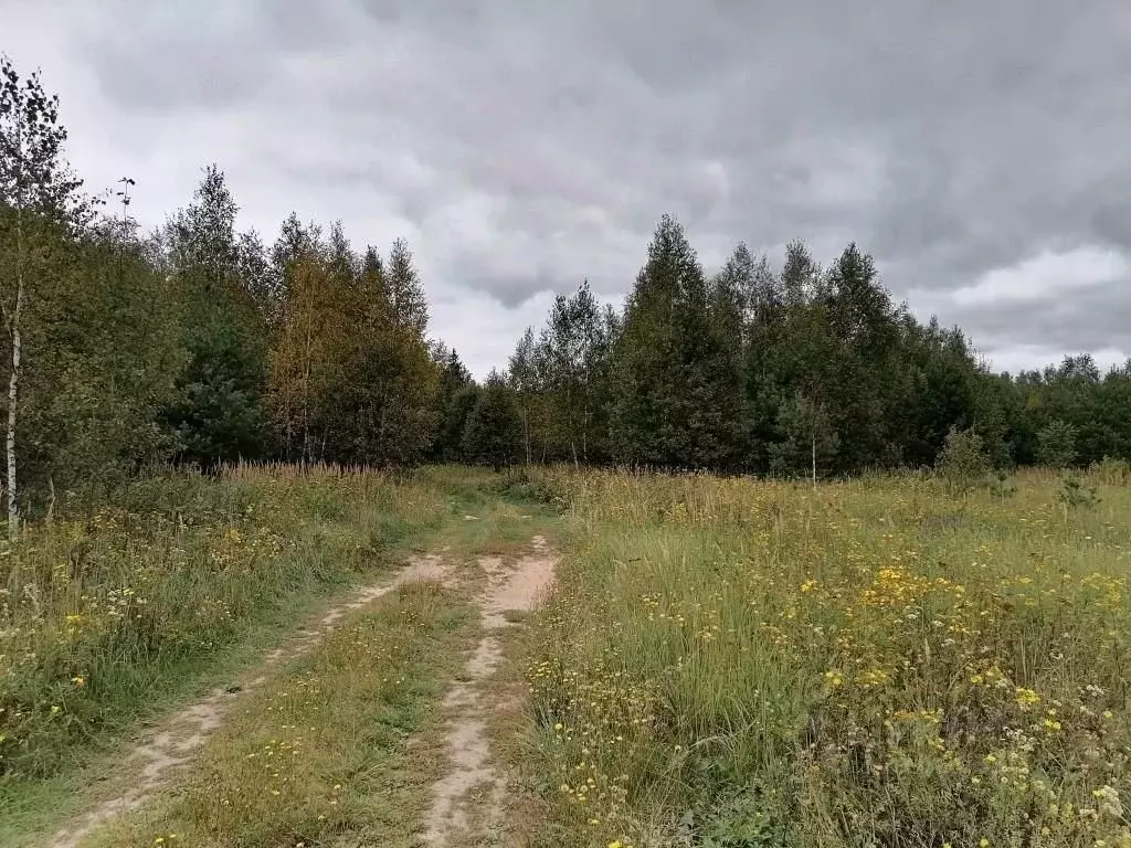 Участок в Владимирская область, Киржачский муниципальный округ, д. ... - Фото 1