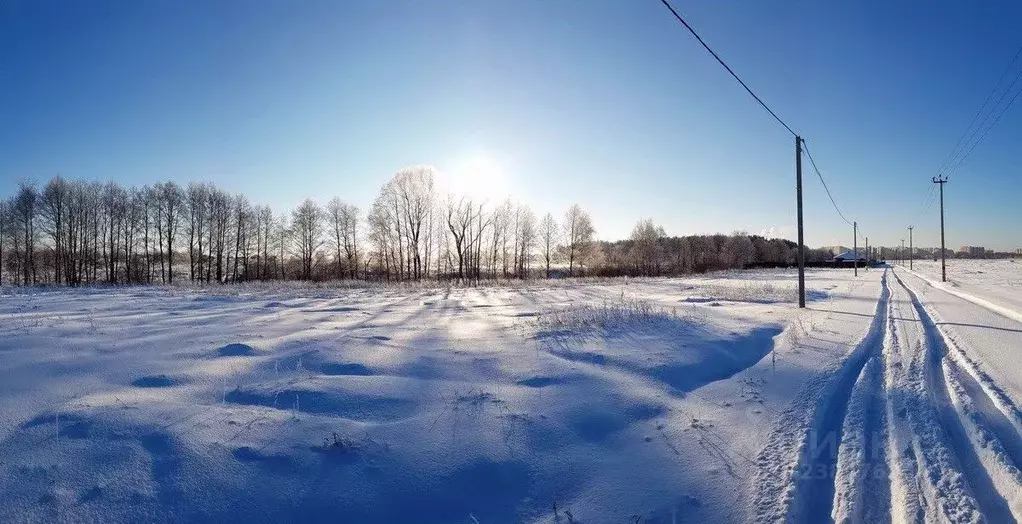 Участок в Московская область, Раменское ул. Осенняя (15.81 сот.) - Фото 2