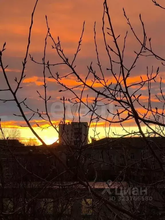2-к кв. Тверская область, Тверь Академическая ул., 10 (44.5 м) - Фото 2