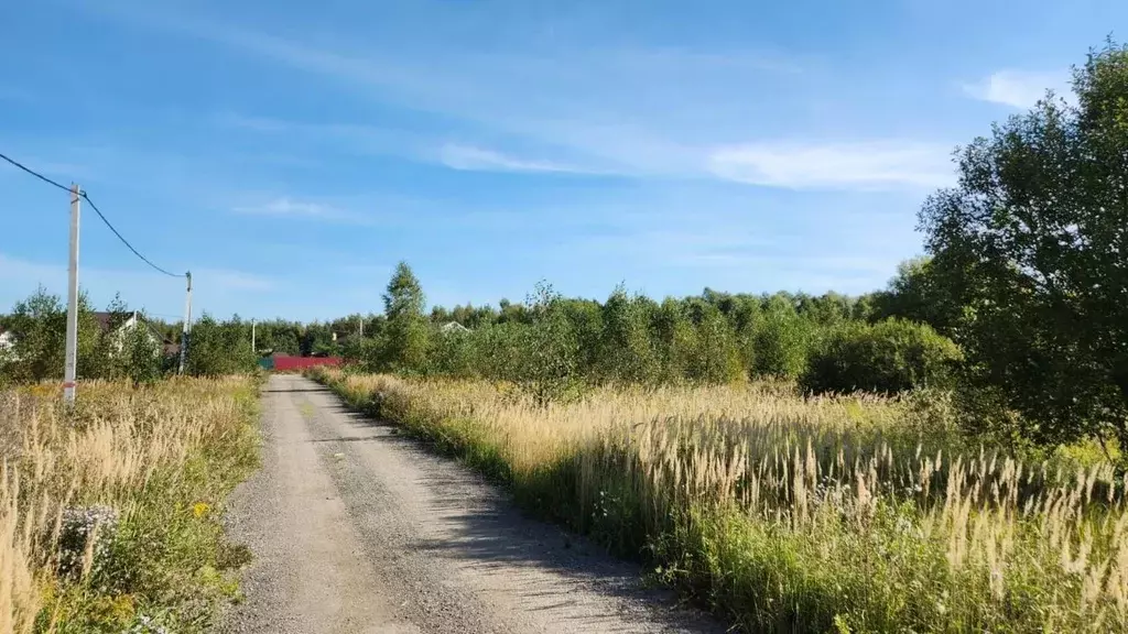 Участок в Московская область, Раменское ул. Балтийская (12.08 сот.) - Фото 1