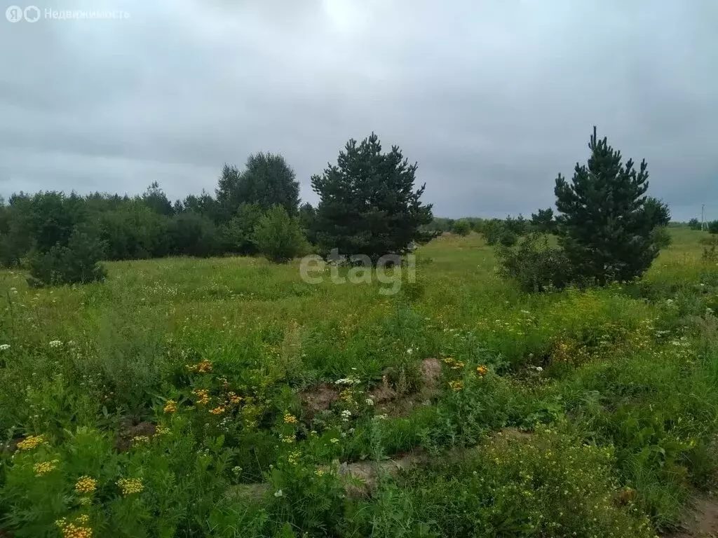 Участок в Свердловская область, Камышлов (11.2 м) - Фото 0