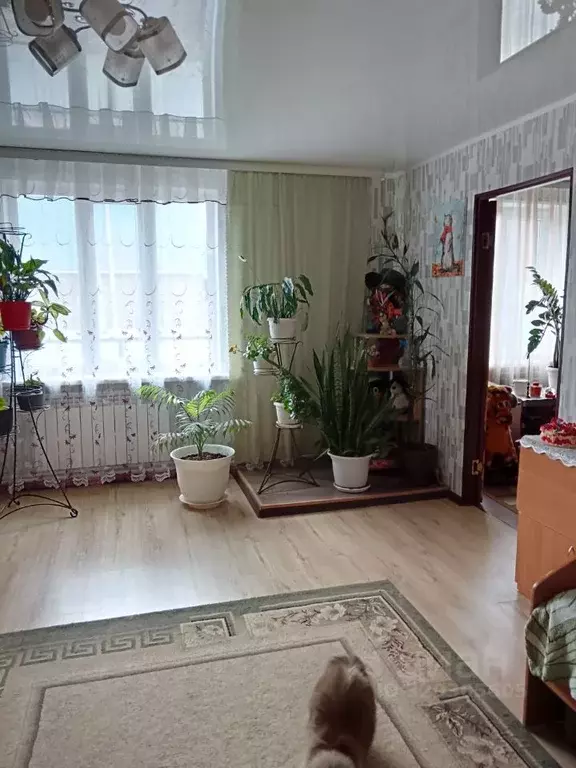 Дом в Башкортостан, с. Чишмы ул. Демская (120 м) - Фото 2