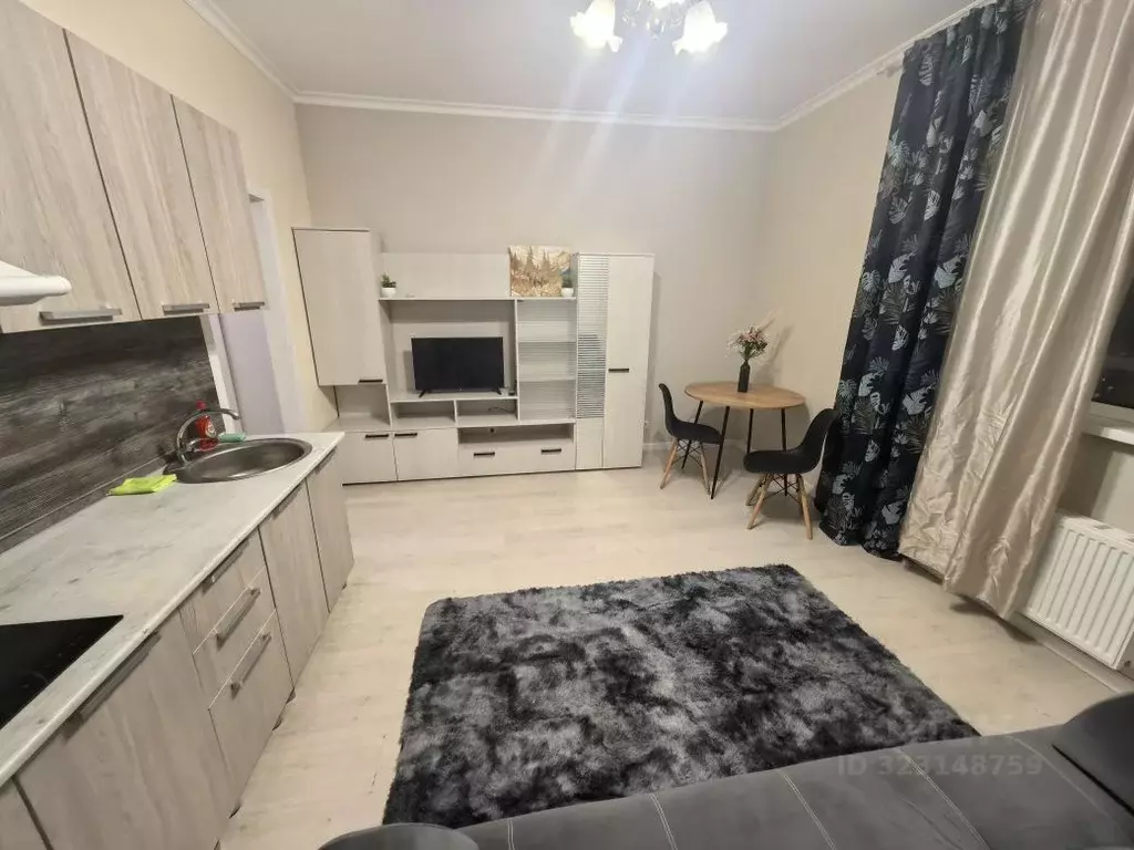 Студия Московская область, Красногорск ул. Липовой Рощи, 6к1 (27.0 м) - Фото 2