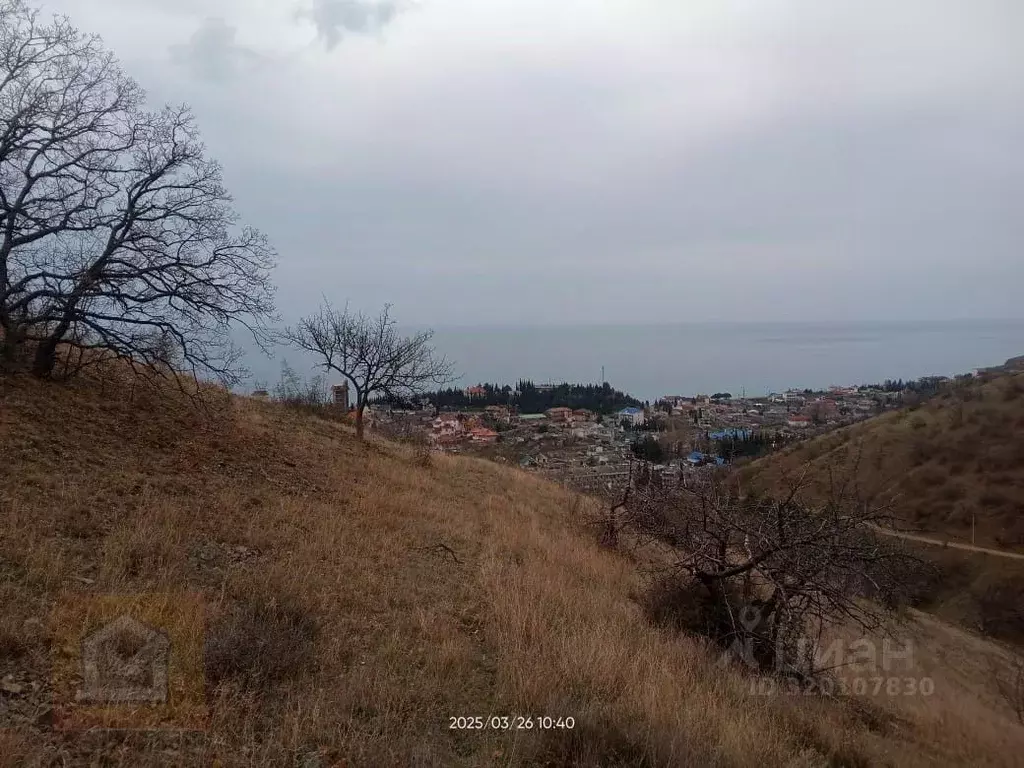 Участок в Крым, Алушта муниципальный округ, с. Рыбачье ул. Дачная, 28 ... - Фото 1