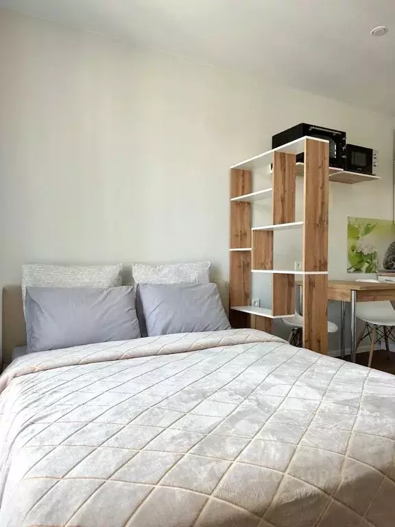 Студия Краснодарский край, Сочи ул. Искры, 88к10 (25.0 м) - Фото 1